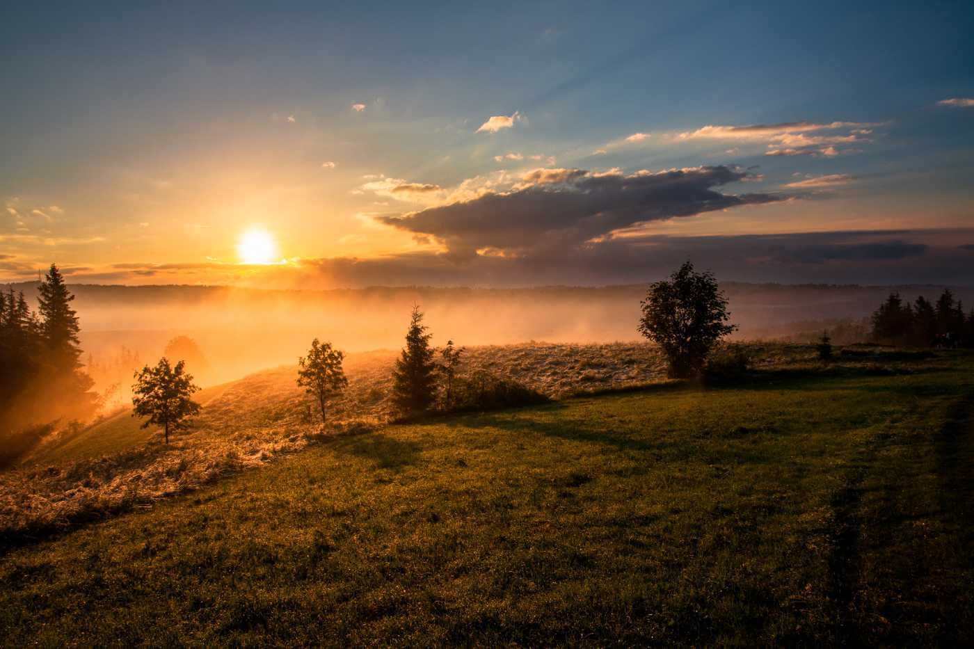 Sonnenaufgang in der Natur – LetsCast.fm spendet für den Klimaschutz