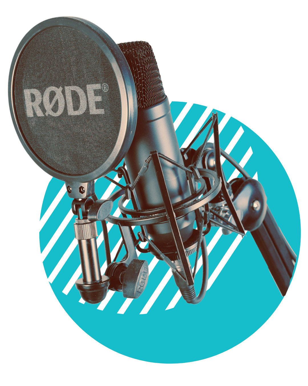 Rode Podcast Mikrofon